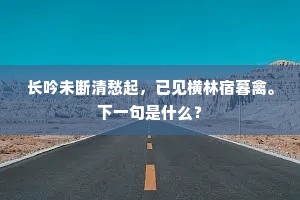 试剑丹崖秋隼疾，濯缨清涧夜龙閒。全诗是什么？