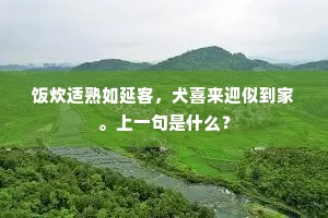 乱叶西风，游丝春梦，转转无休歇。出自哪首诗？