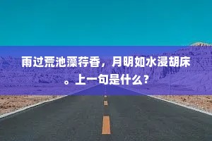 寄到竹西无孔笛，吹成动地太平歌。出自哪首诗？