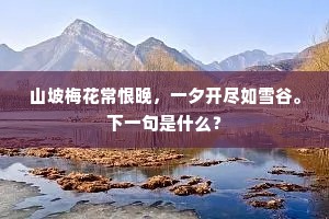 枯朽之余成语的解释