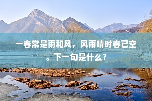 凭君先对梅花说，白发相看意更深。的解释