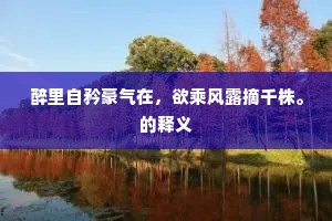 使人读诗如见画，人中岂复生坡老。的意思及出处