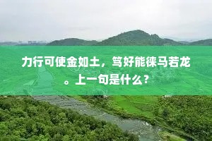 海鸥冥冥秋影微，黄叶江南一棹归。的解释