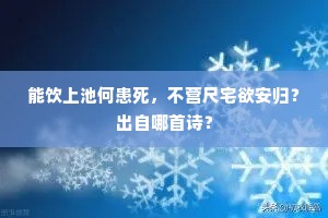 无尽春天归雁急，月明寒影不曾留。的解释