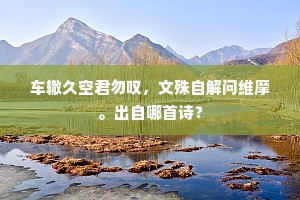 看君挥翰甚风流，岂想重逢鬓毛换。的解释