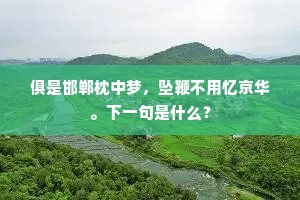 莺花风雨必求友，水竹园林持酒杯。下一句是什么？