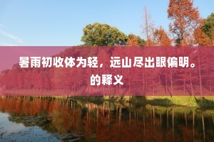 嗟予晚岁始能退，宁有文章惊海内。的解释