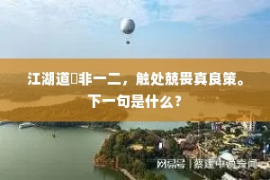 幽鸟向人作清哢，似应知我有诗成。的意思及出处