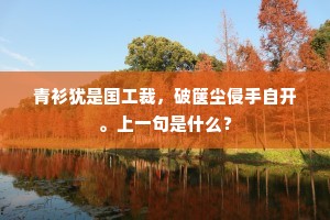 去国十年虽已久，爱君一念不曾寒。下一句是什么？