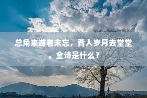 苔碑有字多漫灭，野寺无僧转寂寥。的意思及出处