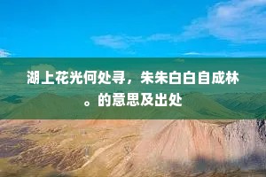 浪蝶游蜂成语的拼音