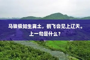浪子回头成语的解释