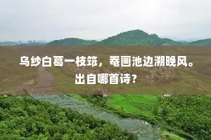 全蜀不移唐日月，四州重著汉衣裳。上一句是什么？