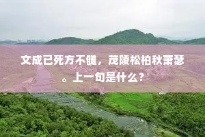 啼到日边啼未了，何尝劝得二人归。全诗是什么？