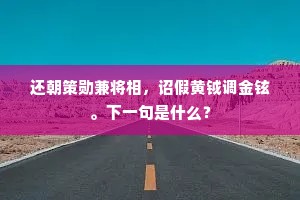 烂漫向、罗绮丛中，驰骋风流俊雅。下一句是什么？