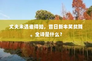 春岚初破晓光迟，青女消余泫玉肌。的释义
