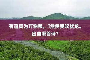 山静林深香暗度，折来频动故园思。的意思及出处