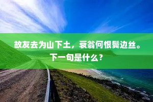 朗月清风成语的拼音