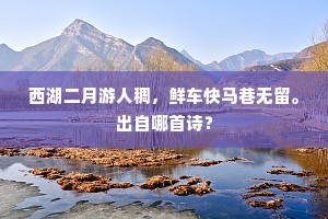 雨余篱菊埋光去，木落前山献体来。出自哪首诗？