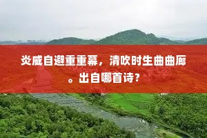 浪迹江湖成语的解释