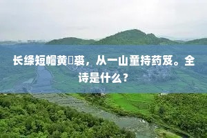 长江依旧循荒壘，零落遗民有几家。出自哪首诗？