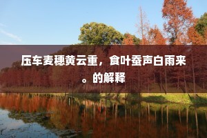 屋里迷家张处士，上门指路上人谦。出自哪首诗？