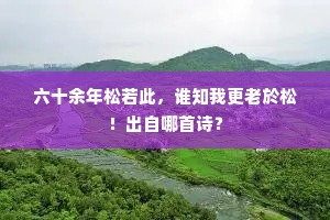 寥寥空馆风号木，浩浩长云雪过窗。的释义