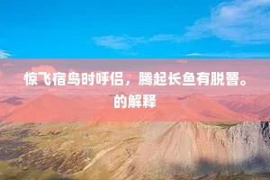 悲君刻意异时流，十载经春着敝裘。的解释