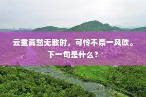 游丝百尺如堪挽，小虫群飞欣日暖。的意思及出处