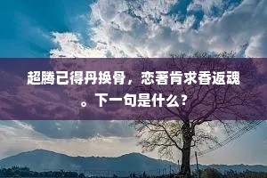 老奸巨滑成语的拼音