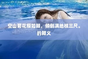 老迈龙钟成语的拼音