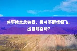 每见营营止樊棘，不应遗矢未央宫。的意思及出处