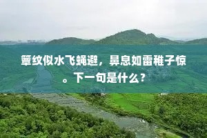 万古升沉同鸟没，盖棺犹未且题诗。上一句是什么？