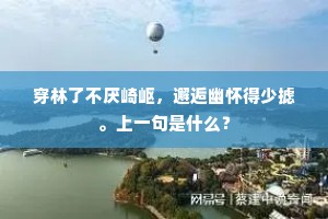 归计无成须绝望，幽居有意漫经营。的意思及出处