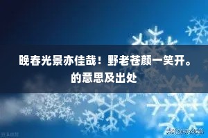 乐不可极成语的拼音
