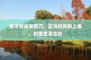 幽寻眼力觑大巧，卜筑得此林峦奇。的释义