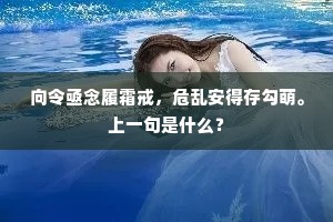 逍遥各自从鹏鷃，断续宁须较鹤凫。出自哪首诗？