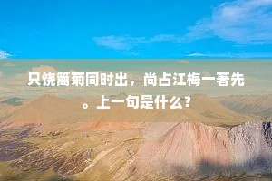 寂寞何人念羁旅，忧来无数若丝棼。的解释