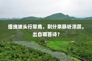 收拾残红付春去，四时光景任三无。的释义