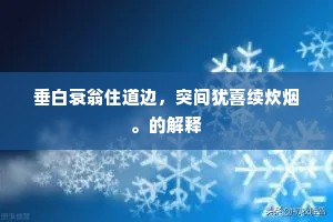 磊浪不羁成语的拼音