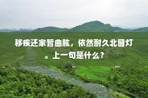 泪下如雨成语的释义