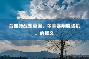 脸青鼻肿成语的拼音