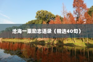 情感治愈文案短句素材（通用40句）