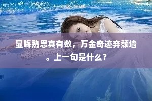 传邮扰扰无虚日，吏俗区区老却人。出自哪首诗？