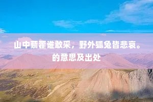 两相情愿成语的解释