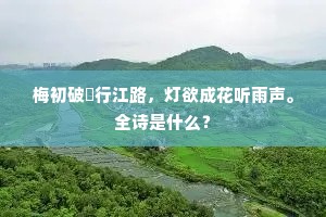 聊以自娱成语的解释