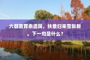 聊以卒岁成语的拼音