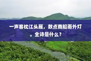 当时长年皆有语，后来艰危从此数。的释义