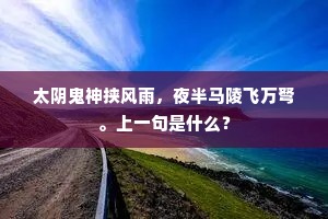 负薪代炭集市井，耳聋眼瞑垂白头。上一句是什么？