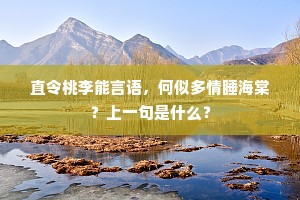 满城携酒驻高轩，楚老沾衣共一言。的解释